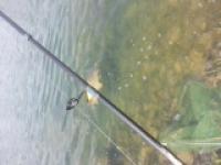 20140713_113905.jpg
