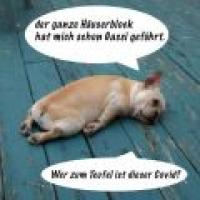 Hund-Wer_ist_Covid.jpg