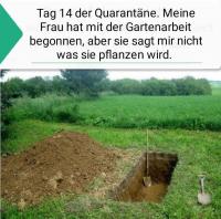 Tag 14 der Quarant&auml;ne.jpg