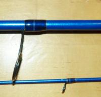 P1010300 (1024x990).jpg