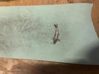 IMG_9246.jpeg