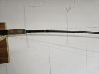 20250724_080347_compress12 (1).jpg